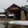 Tammy Simmers - @tammy.simmers - TikTok