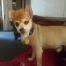Tammy Singletary - Facebook