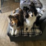 Tammy Buskirk Singley - @tmsingley4461 - Instagram