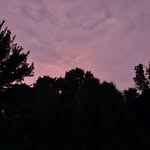 Tammy Singley Grimes - @tgrimes40 - Instagram
