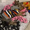 Tammy Skipper891 - @tammyskipper1 - TikTok
