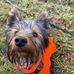 Tammy Skipper - Facebook