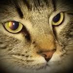 Tammy Sneed - @tammy_sneed - Instagram