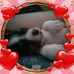 Tami R Snell Rovenolt - Facebook