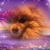 Tammy Snell - Facebook