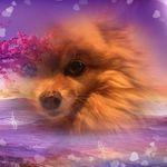 Tammy Snell - @tammy.snell.5817 - Instagram