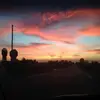 tammydavissnell - @tammydavissnell - TikTok