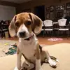 Tammy Evans Snipes - @tammyevanssnipes - TikTok