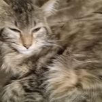 Tammy Spaugh - @tammy_spaugh - Instagram