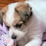 Tammy Spaulding Kimball - @tammykimball - Instagram
