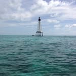 Tammy Miller Spellman - @ts0150 - Instagram