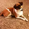 Tommy Stackpoole - @tommystackpoole - TikTok