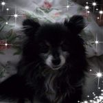 Tammy Stage - @tammy.stage.9 - Instagram