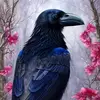 tammy Mcwhirter - @tammystager277 - TikTok