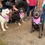 Tammy Stallings - @stallingstammy - Instagram