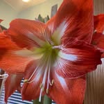 Tammi Stambaugh - @tammistambaugh - Instagram