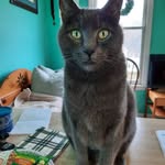 Tammy Stambaugh - @tammystambaugh2022 - Instagram