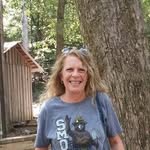 Tammy Marchant Stamps - @tammystamps57 - Instagram