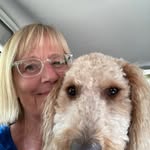 Tammy Stampfli - @tammystampfli - Instagram