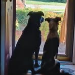 Tammy Allison Stanfield - Facebook