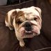 Tammy Stanfield - Facebook
