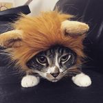 Tammy Stark - @tammyestark - Instagram