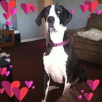Tammy Starks - @starks3181 - Instagram