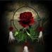 Tammy Statler - Facebook