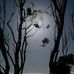 Tammy Statler - Facebook