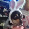 Tammy Steelman - @tammy.steelman - TikTok