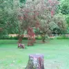 tammysteelman470 - @tammysteelman470 - TikTok