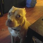 Tammy lee - @tammy_steeves_ - Instagram