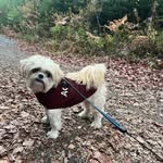 Tammy Steeves Murray - @tammur27 - Instagram