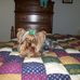 Tammie Steffey - Facebook