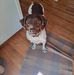 Tammy Steinke - Facebook