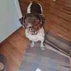 tammysteinke - @tammy.steinke - TikTok