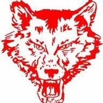 Tammy Stephan - @pearlcityladywolves - Instagram