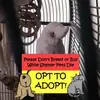 tammystephans - @tammystephans - TikTok