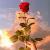 tammy.stephen9 - @tammy.stephen9 - TikTok