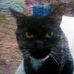 Tammy Stepp - Facebook