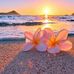Tammy Stepp - Facebook