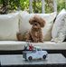 Tammy Stiner - Facebook