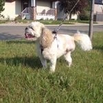 Tammy Stocker - @tlee129 - Instagram