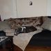 Tammy Strait - Facebook