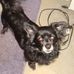 Tammy Stricklin - Facebook