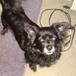 Tammy Stricklin - @tammy.stricklin.1 - Instagram