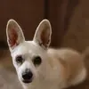Tammy Stricklin - @tammy.stricklin - TikTok
