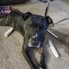 Tammy Stricklind - @tammy.stricklind - TikTok