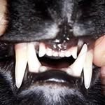 Tammy Hedstrom - @tammyhedstrom - Instagram