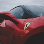Tammy Stromain - @tammy_stromain83986244 - Instagram